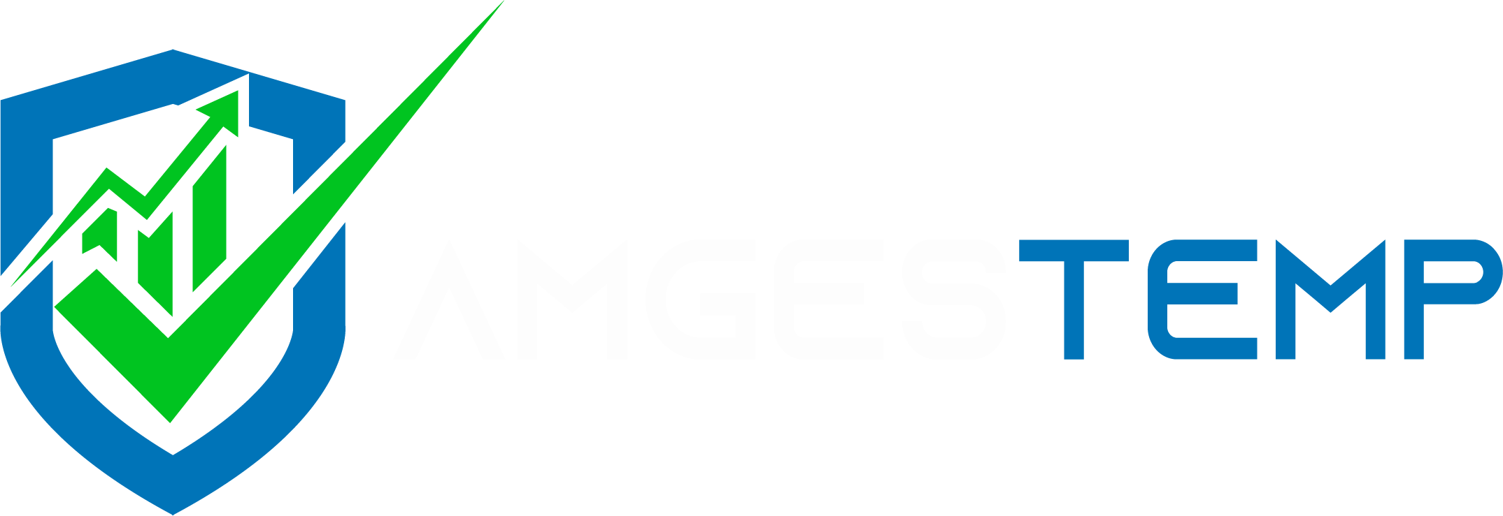 AMGESTEMP - Consultoría de Gestión y Procesos